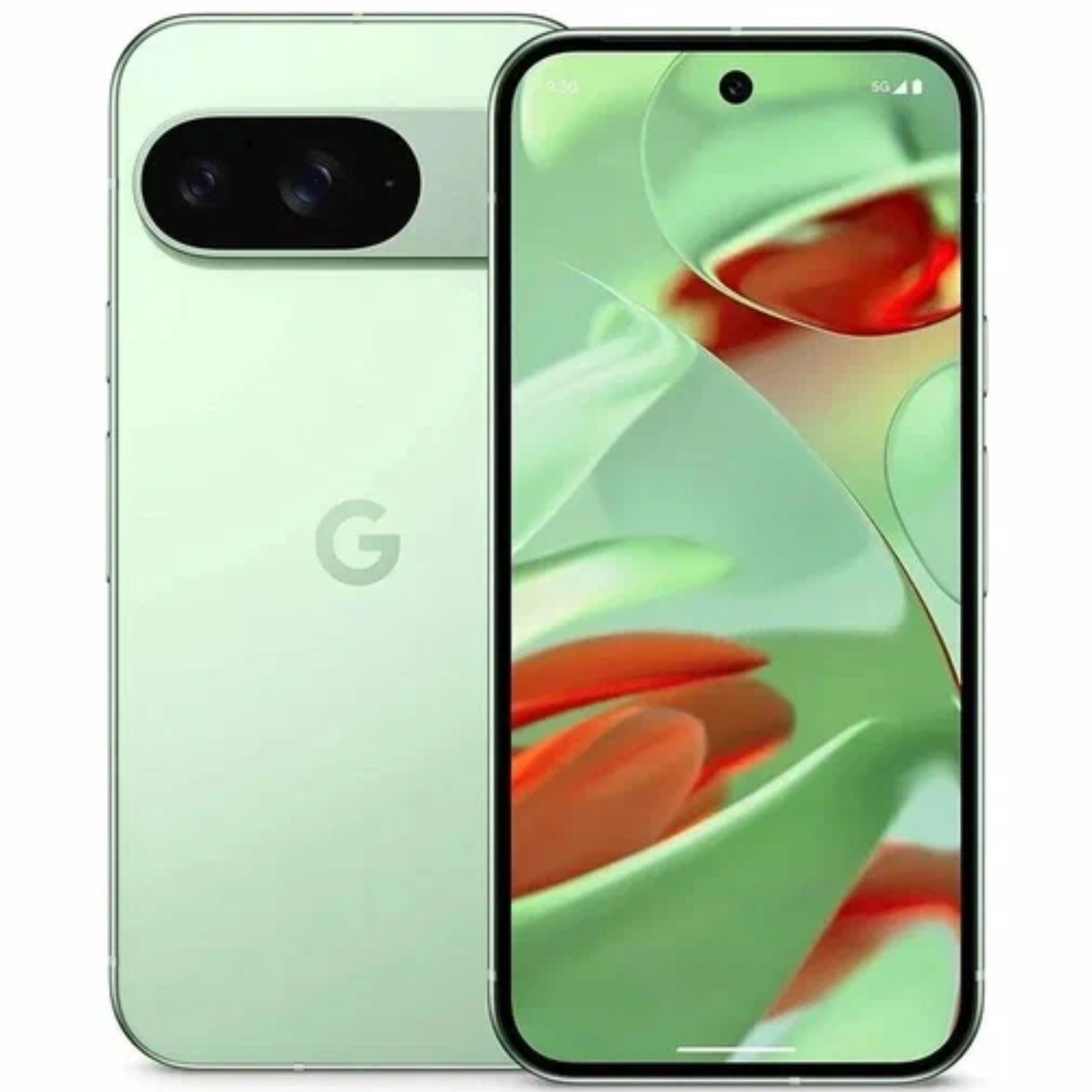 Смартфон Google Pixel 9 12/256 ГБ, зимнезеленый